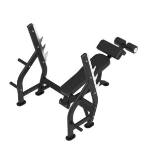 Olympic Benches