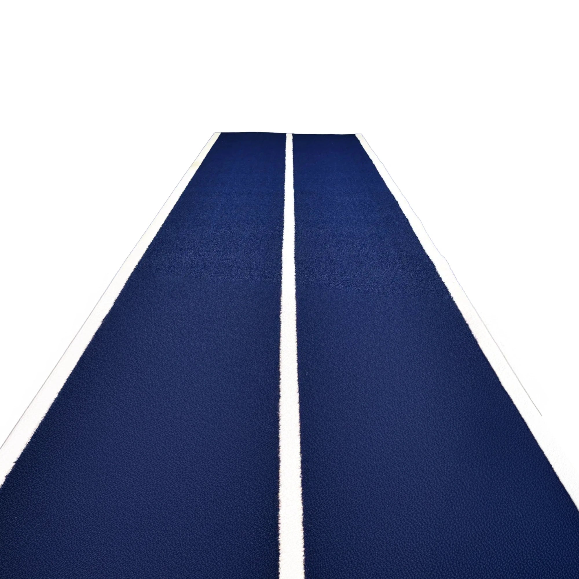 Two Lined Sled Track 10 x 2m Blue