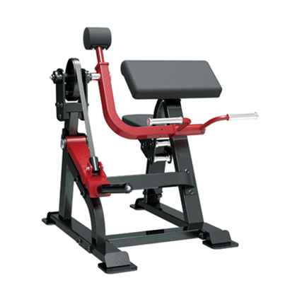 Sterling Series, Bicep Curl - Image 3