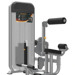 Dual Series, Ab / Low Back