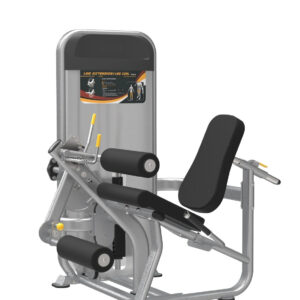 Dual Series, Leg Extension / Curl
