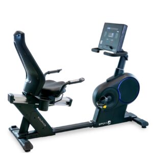 Endurance Recumbent Bike