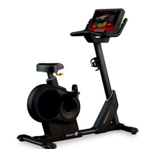 Endurance Touch Upright Bike