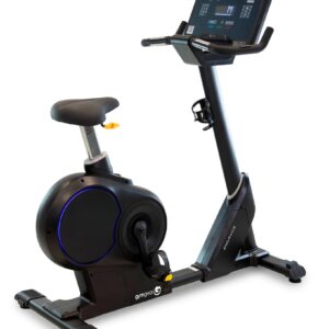 Endurance Upright Bike