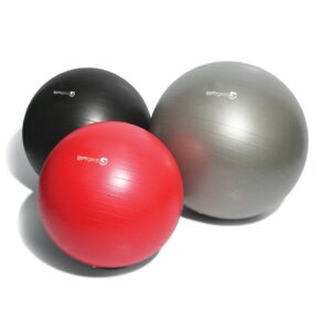 Gym Ball