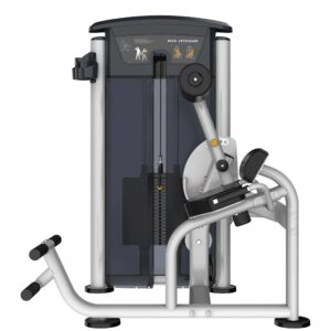 Perform Series, Back Extension