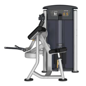 Perform Series, Bicep Curl