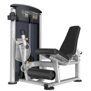 Perform Series, Leg Extension