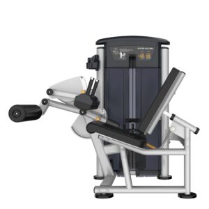 Perform Series, Seated Leg Curl