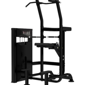 Platinum Series, Assisted Chin / Dip