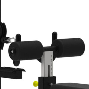 Pro Series, Lat Pulldown / Low Row