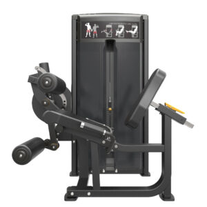 Pro Series, Leg Extension / Leg Curl