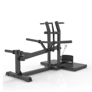 Pro Series Plate Loaded, Belt Squat