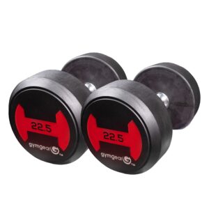 22.5kg Rubber Dumbbells Pair