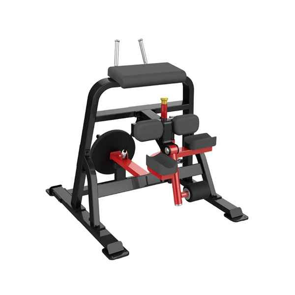 Sterling Series, Standing Leg Curl - Image 2