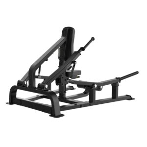 Sterling Series, Seated Dip